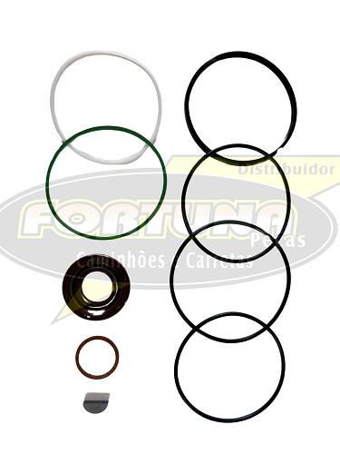 REPARO BOMBA HIDR. VOLVO/FORD ZF - Ref: 7673698018
